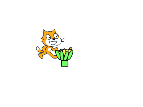 Corn