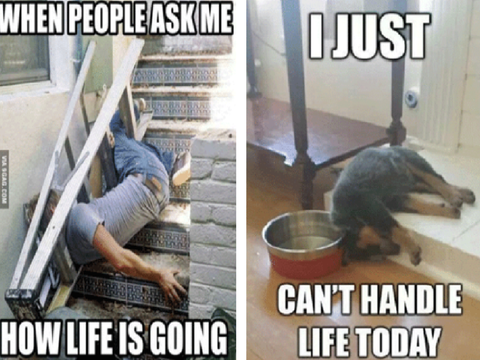 Project thumbnail