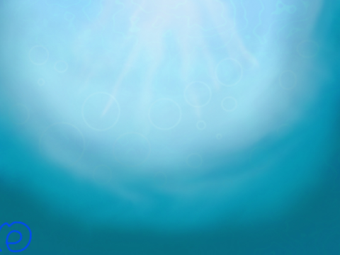 Wip (1/2)