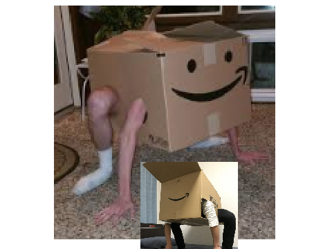 look at my amazon box pets i got from the backrooms!