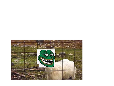 troll goat