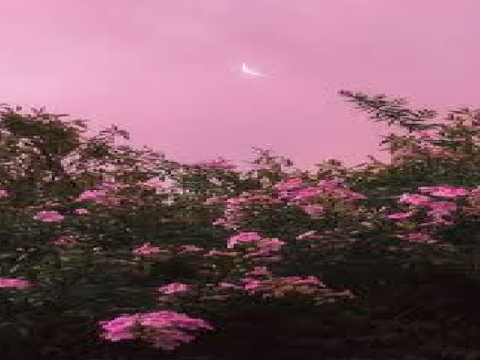 <3
