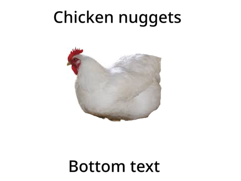 chicken nuggets