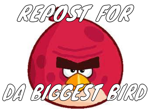 Repost for DA BIGGEST BIRD remix