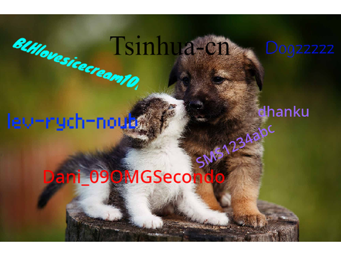 Sign to help stop animal abuse! remix remix remix remix remix remix remix