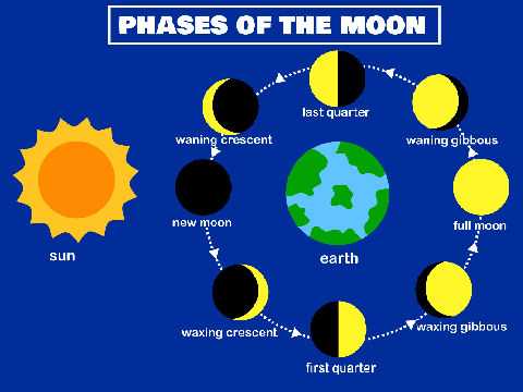 MOON UWU