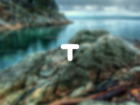 TPosingTurtle BANNER