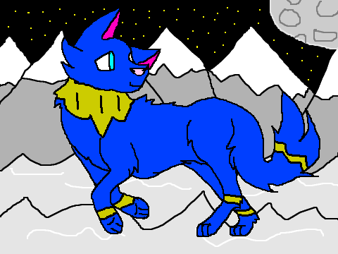 Run CC OPEN WINTER WOLF WARRIOR