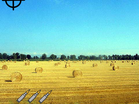 Farm game