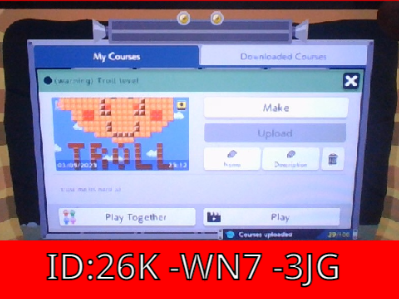 Play this in SMM2: