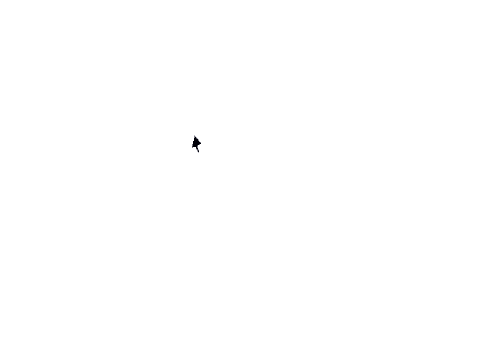 Working Mouse Recorder (with realistic mouse)
