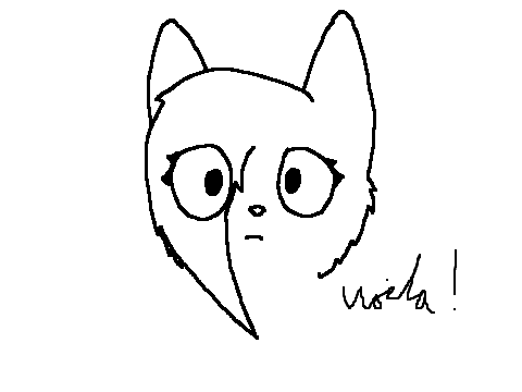 How I draw cats - front view