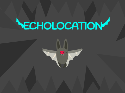 Echolocation