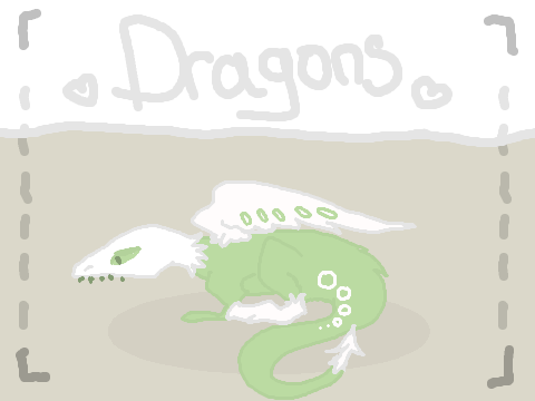 Dragon Designs