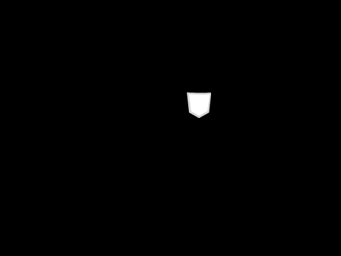 hidden video