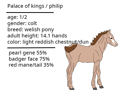 New Foals!