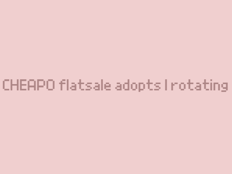 ☄  CHEAPO flatsale adopts! | rotating ☄