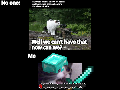 Minecraft meme i made