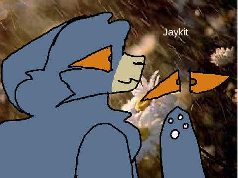 Amber Eyes— Rising Light Litter jaykit