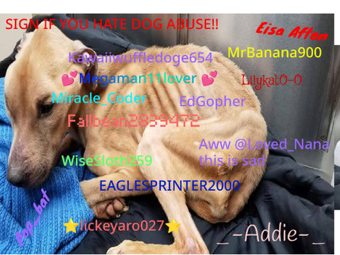 Sign if u hate dog abuse!!!!!!!!!!!!!!!!!!!!!!!!!!!!!!! 