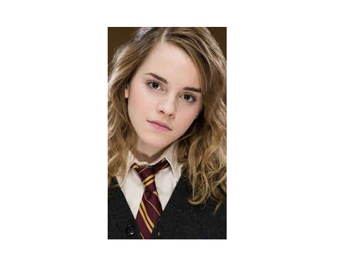 THe answer for the Harry Potter quistion