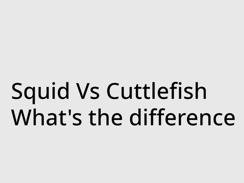 Squid Vs Cuttlefish. What's the difference?