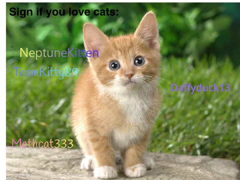Sign here if you adore cats remix