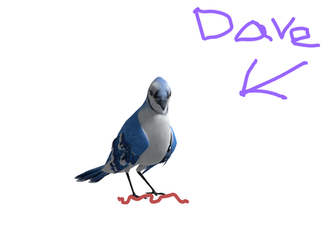 Dave