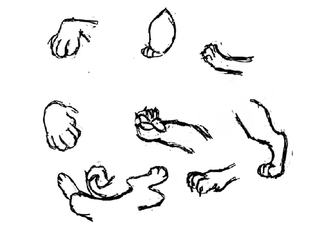 Lion paw study