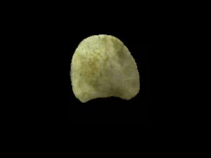 VIDEO-Chip