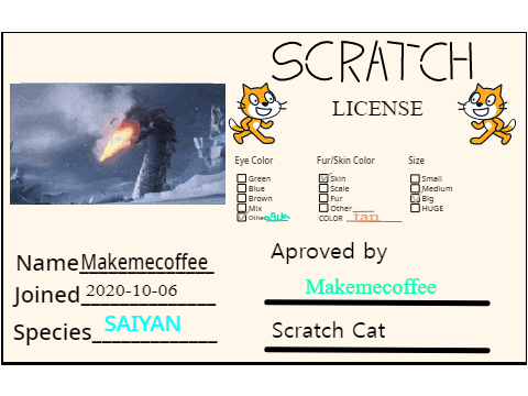 my scratch license 