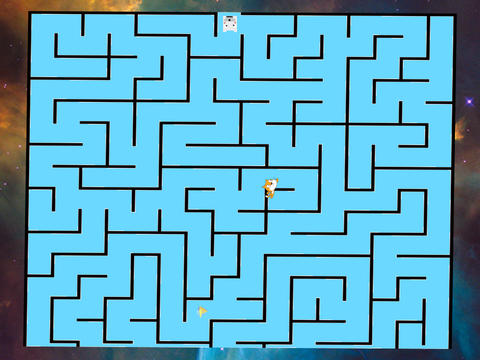 Maze