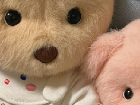 ⩇⠀⩇ ₍ ⑅ᐢᐢ₎ ꩜ CHATroom !!  =͟͟͞͞ ♡ ( ⑅´_ `⑅)