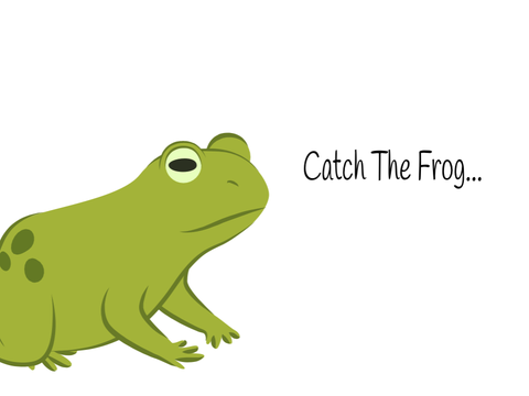 Catch The Frog