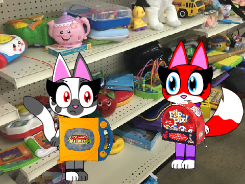 Petunia Cat misbehaves at Goodwill and gets Grounded