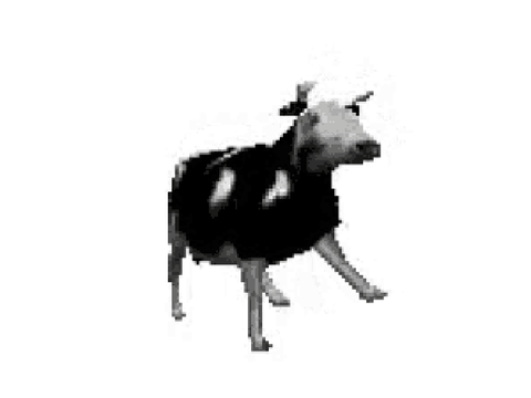 polish cow