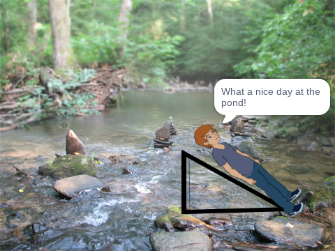 A day at the pond