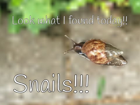 Look what I found today!!