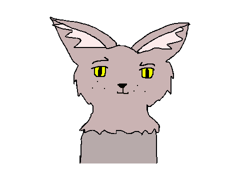 Scurvy the cat