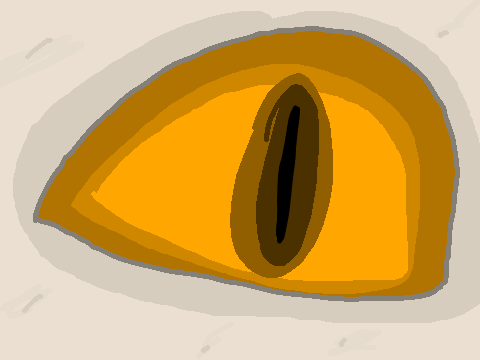 Some cool pupil changing animation?