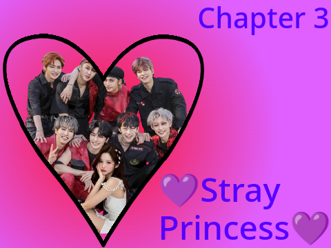 ❤StrayPrincess❤ Skz ff Chapter 3