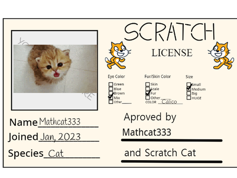 Make Your Own Scratch License remix remix