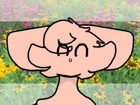 Wildflower~ Animation Meme