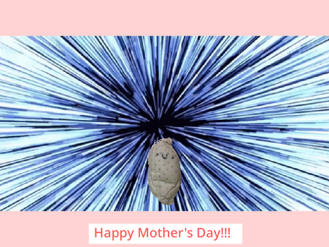 Happy Mother's Day
