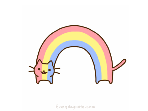 RAINBOW CAT 
