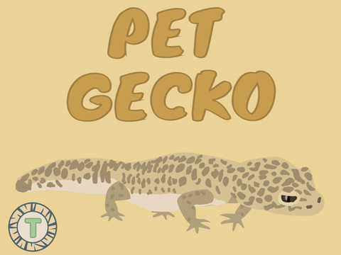 Pet Gecko