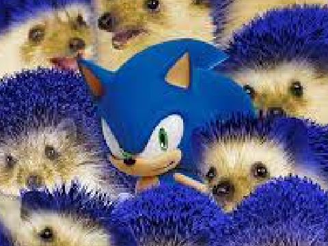 find sonic