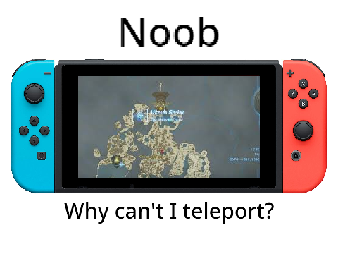 Different types of TotK players