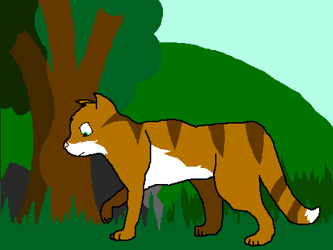Sprite - Striped Cat