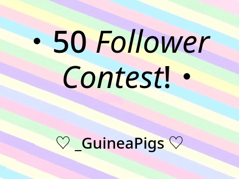 ・50 Follower Contest!・